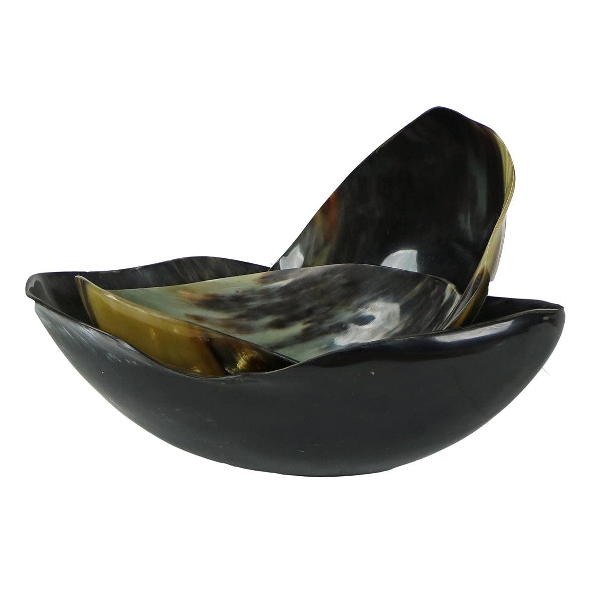 Cow Horn Bowl: Small