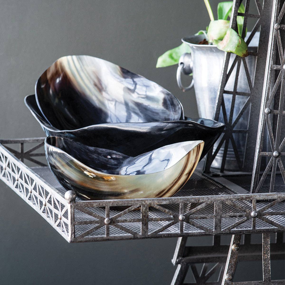Cow Horn Bowl: Small