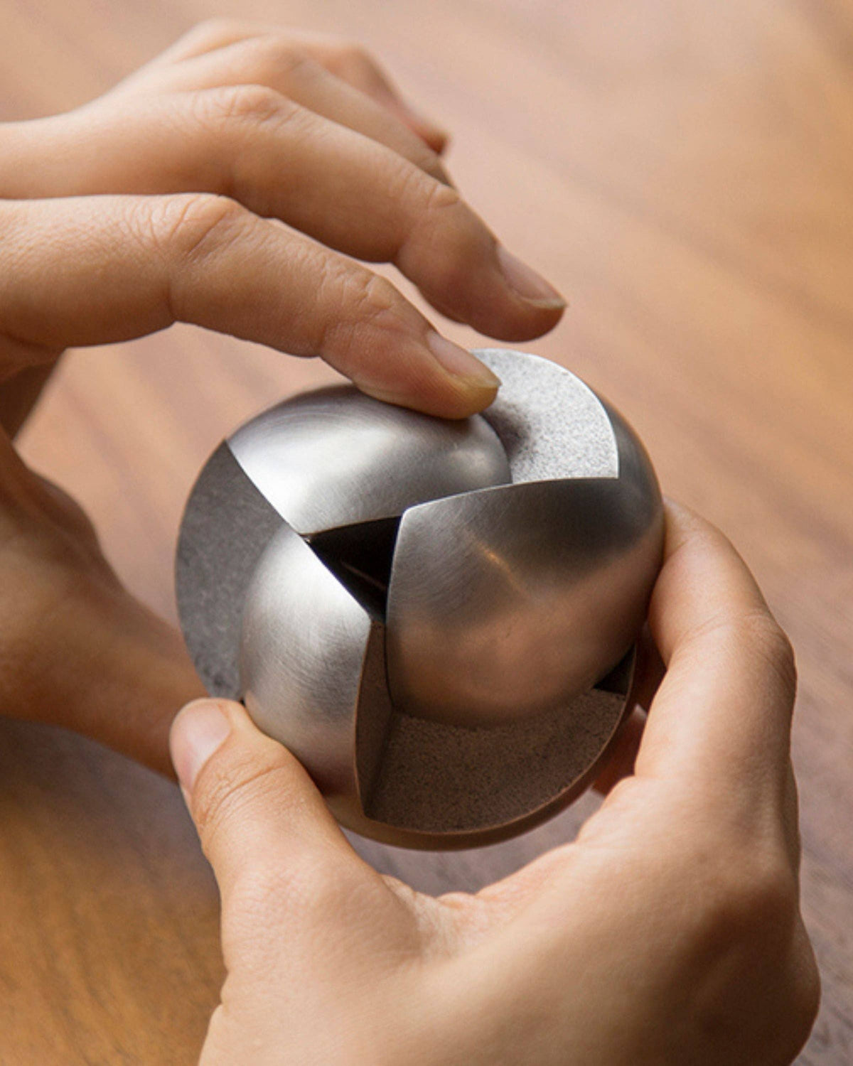 Venn Puzzle: Stainless Steel
