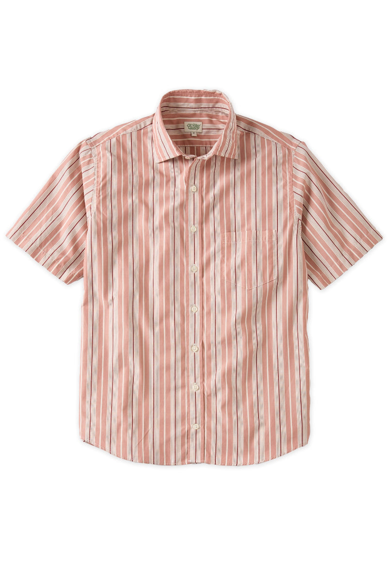 Pink and white short sleeve button down