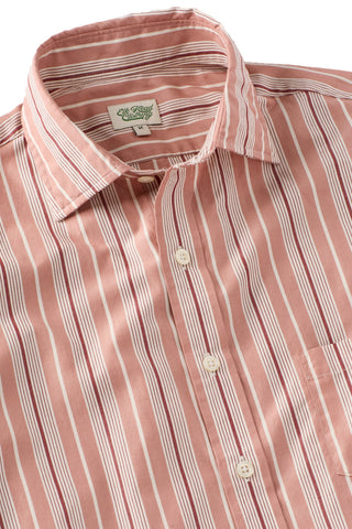 Pink and white short sleeve button down