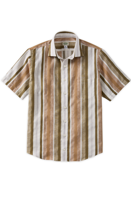 Brown And Green Vertical Stripe Spread Collar